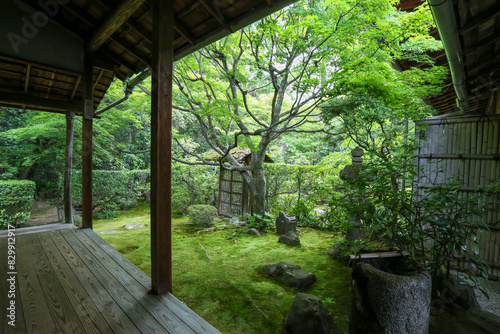 妙心寺塔頭桂春院の境内風景 © ykimura65