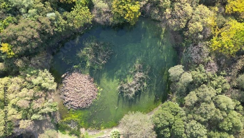 African Lake At Rustenburg In North West South Africa. African Animals Landscape. Pilanesberg National Park. Rustenburg At North West South Africa. Big Five Animals. Wildlife Safari.