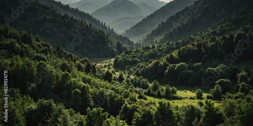 Serene mountainous terrain enveloped by verdant woodland scenery. photo