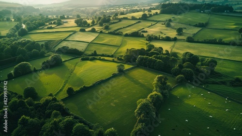 Aerial drone view of green fields and farmland in rural Wales.