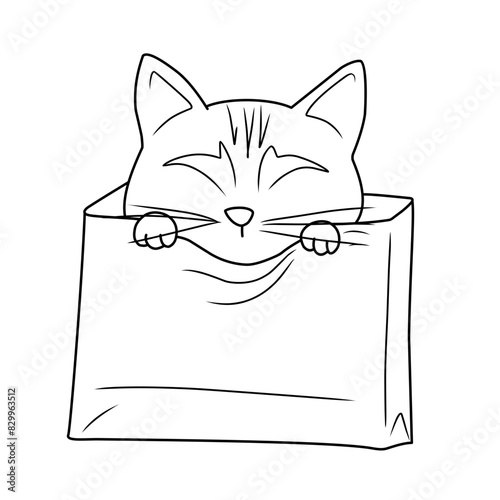 cat inside brown shopping bag paper