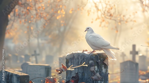 Dove's Peaceful Presence in the Cemetery