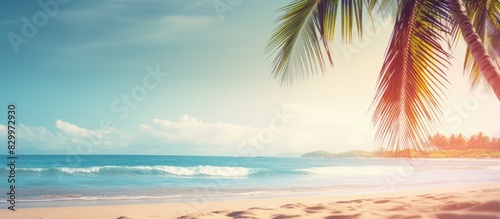 A blurred image of a sandy beach with palm trees in the background evoking a tropical atmosphere Ideal for summer vacation and travel themes with room for text. with copy space image