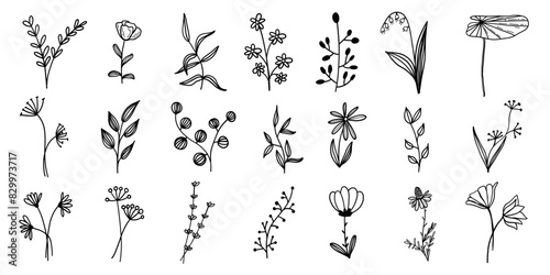 Floral wreath frames simple minimalist botanical scrapbook natural hand drawn scribble doodles set collection