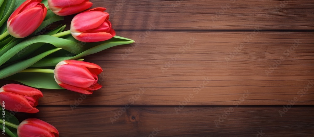 Close up of a vibrant tulip frame against a rustic wooden background providing ample copy space for further elements Close up of a vibrant tulip frame against a rustic wooden background providing ample copy space for further elements