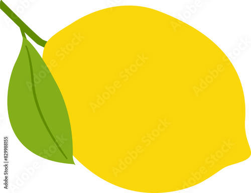 yellow lemon with leaves vector.