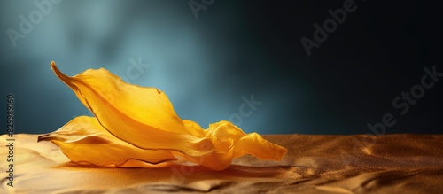 A copy space image featuring a dried mango against a contrasting background