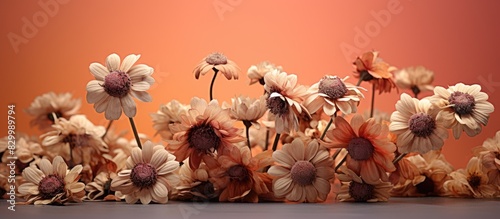 Macro photography of dry fl...