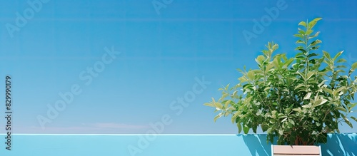 Bright sunny day at a summe...