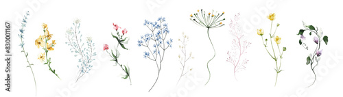 Watercolor painted floral clipart set. Blue, pink, violet and yellow wild flowers, branches, leaves and twigs. Chamomile, daisy, cornflower and other. Meadow plants isolated collection.
