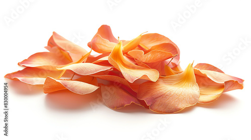 Sala  petals  isolated on white background