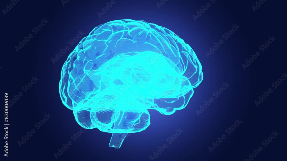 Animazione cervello umano ai raggi x