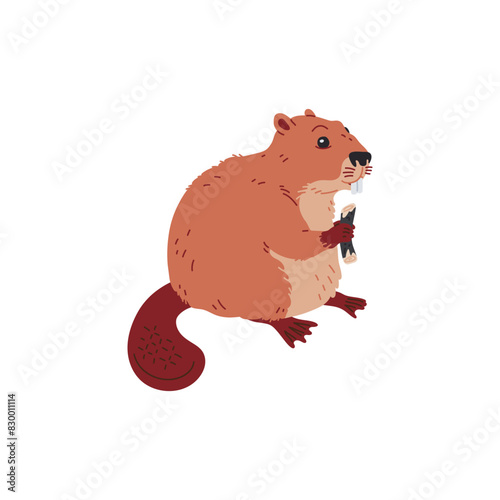 Vector image beaver is holding a log in a flat style on a white background