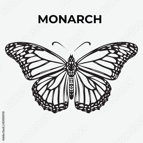 Monarch butterfly Detailed Outline for Artistic Coloring. Vector Illustration