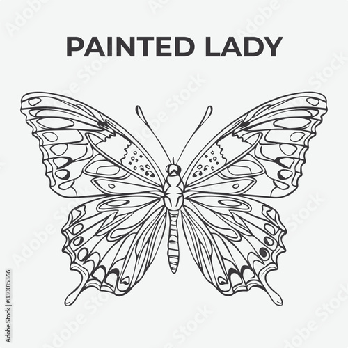 Painted Lady butterfly Detailed Outline for Artistic Coloring. Vector Illustration