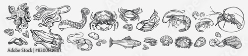 Isolated vector set of seafood.Shrimps  langoustines  prawns  salmon  trout  oysters  mussels  squid  crab  octopus  rosemary  sea urchin. Monochrome.Hand-drawn seafood delicacy restaurant and marine.