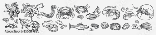Isolated vector set of seafood.Shrimps, langoustines, prawns, salmon, trout, oysters, mussels, squid, crab, octopus, rosemary, sea urchin. Monochrome.Hand-drawn seafood delicacy,restaurant and marine.