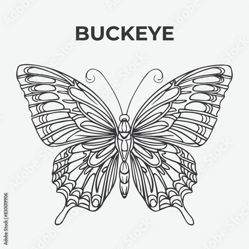 Buckeye butterfly Detailed Outline for Artistic Coloring. Vector Illustration