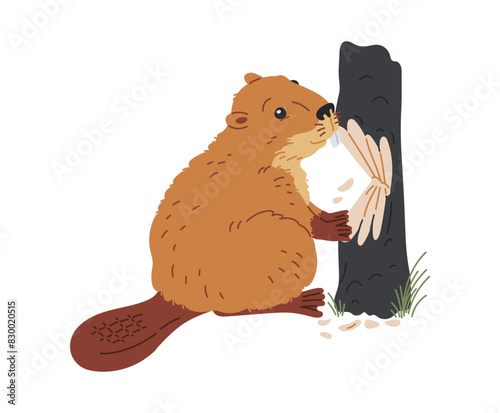 Cute beaver chewing wood flat vector illustration, cartoon wild animal eating tree trunk isolated fauna design