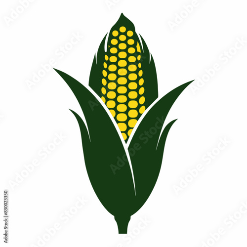 ear of corn