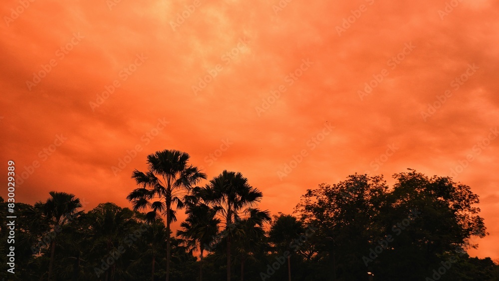 vew of sky in the dusk moment or sunset. vew of sky in the dusk moment or sunset.