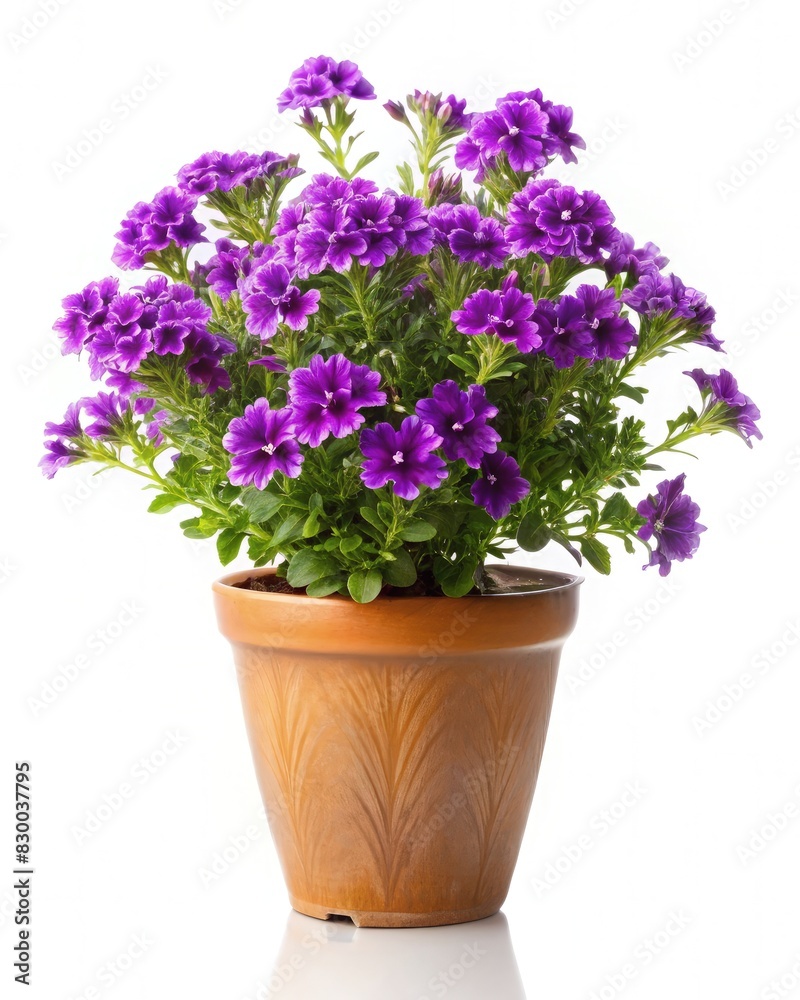 Potted Plant With Purple Flowers. Generative AI