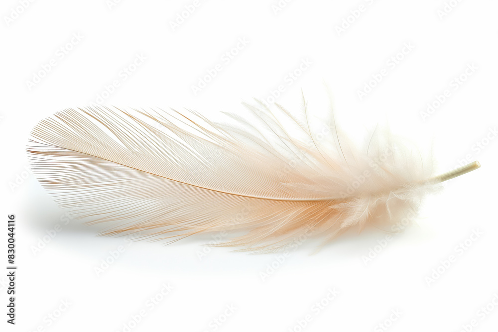 A soft feather falling gently, signifying peaceful slumber, isolated on a white background A soft feather falling gently, signifying peaceful slumber, isolated on a white background