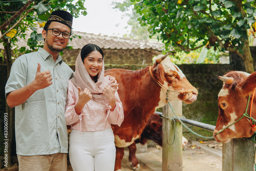 Smiling young Asian Muslim couple giving thumbs up hand gesture of approval in front of cows cattle for sacrifices. Eid Al Adha concept.