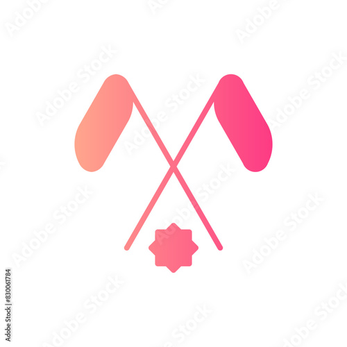 Photography fight gradient icon