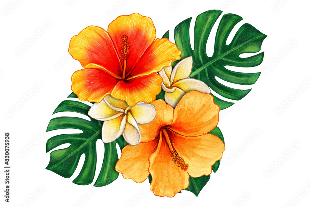 Watercolor illustration for tropical flowers with leaves. Amazing and colorful floral illustration isolated on white background