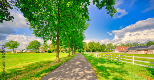 A country road in a rural landscape in The Netherlands. photo