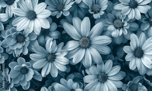 view of various flowers in monochrome blue tones, creating a textured and detailed floral pattern