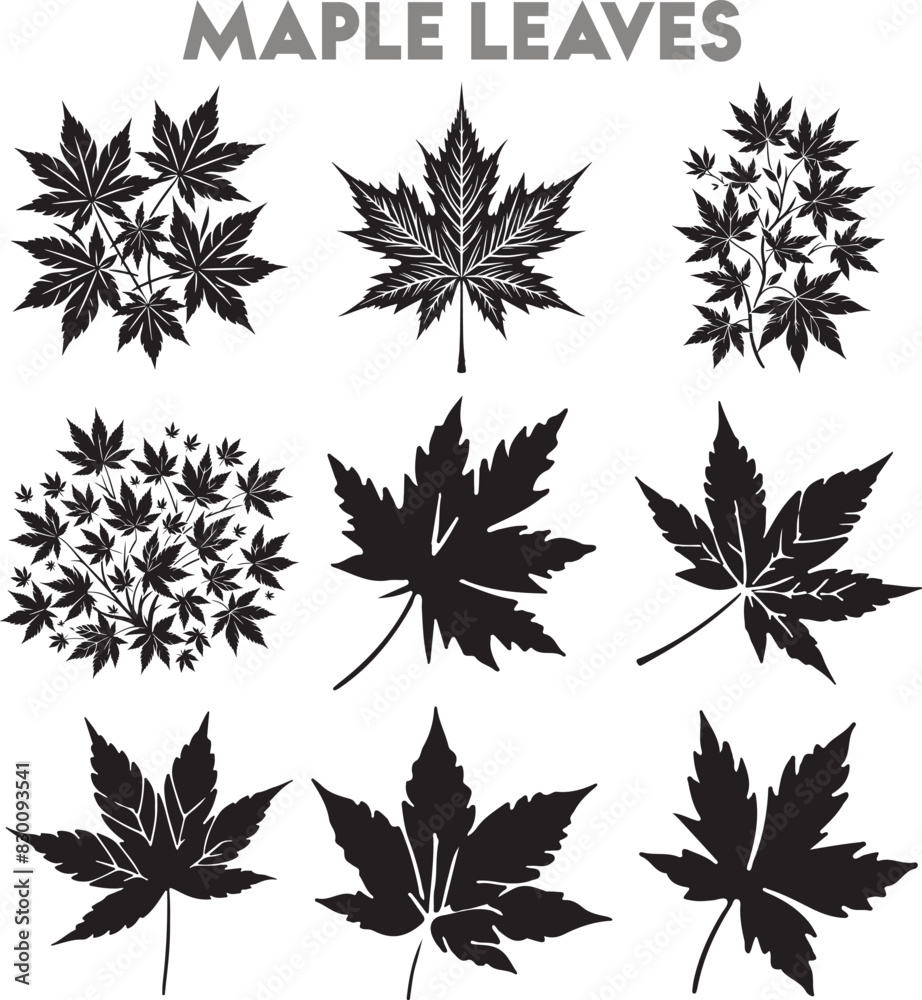 Maple Leaves Silhouette Vector Illustration Design Bundle Maple Leaves Silhouette Vector Illustration Design Bundle
