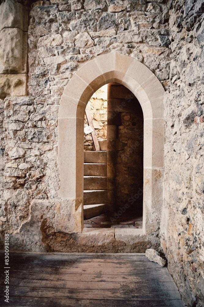 Fototapeta premium door to the castle