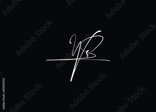 WS  handwriting logo design and creative logo