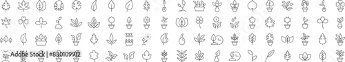 Collection of Icons of Leaf for Shops and Stores. Suitable for books, stores, shops. Editable stroke in minimalistic outline style. Symbol for design