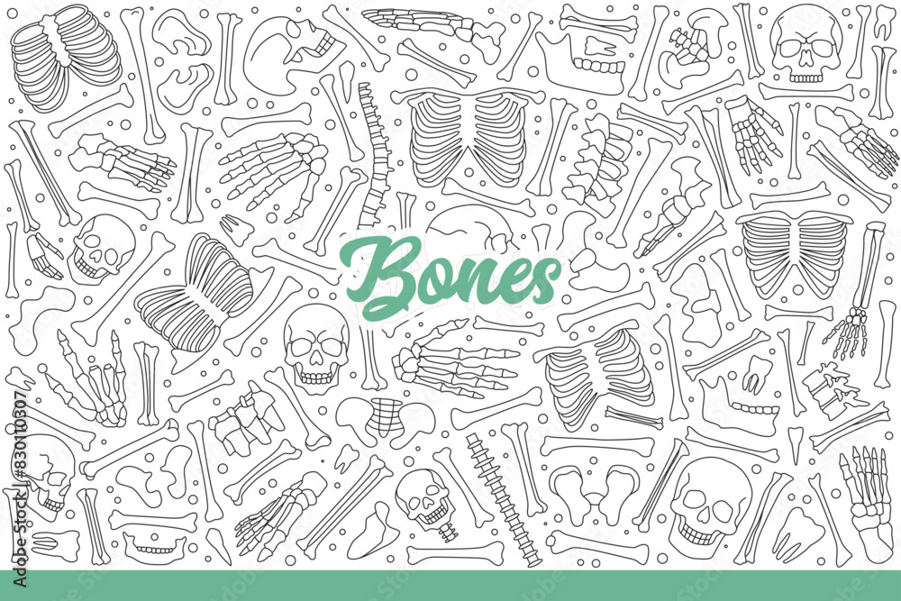 Bones of dead person or skeleton taken apart piece by piece to study anatomy and physiology. Skulls and bones to create spooky atmosphere at your halloween party. Hand drawn doodle