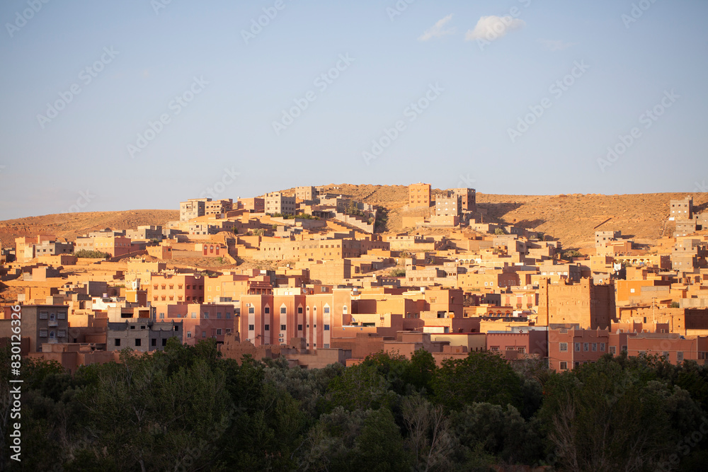Moroccan village close to palm grove