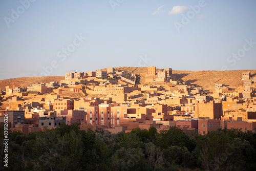 Obraz na płótnie Moroccan village close to palm grove w salonie