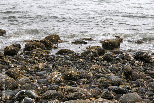 Small steady waves during a stormy day on Hood Canal