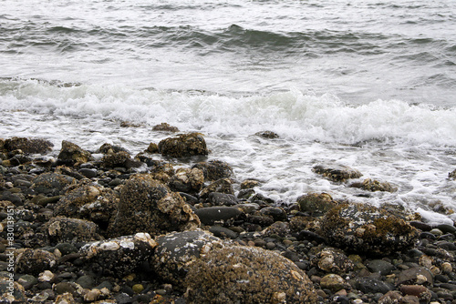 Small steady waves during a stormy day on Hood Canal