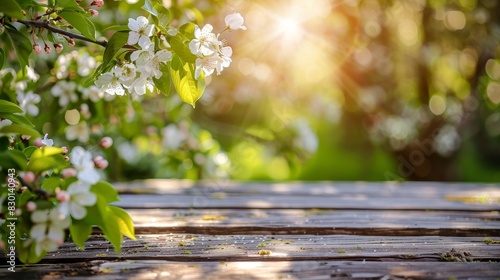 Blossoming Spring Flowers with Sunlight on Wooden Deck