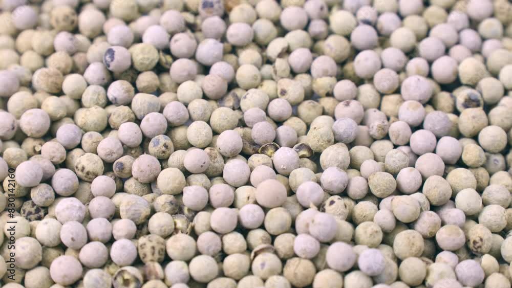 White pepper peppercorns circle rotation close up White pepper peppercorns circle rotation close up