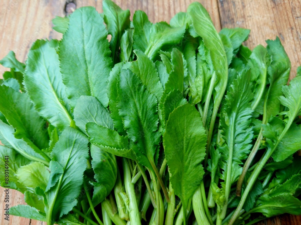 Raw green living cress or watercress leaves bunch on wooden table background. Organic healthy leaves of cress for eat. Garden cress or watercress (Lepidium sativum) mustard garden pepper pepperwort Raw green living cress or watercress leaves bunch on wooden table background. Organic healthy leaves of cress for eat. Garden cress or watercress (Lepidium sativum) mustard garden pepper pepperwort