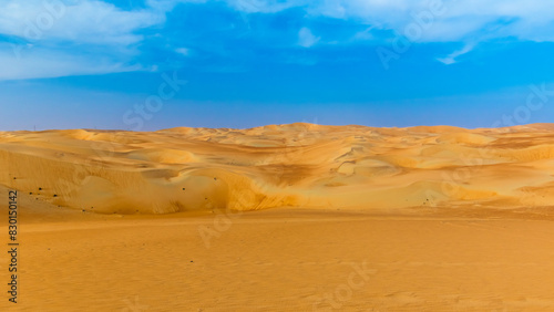 Desert  Landscape