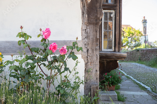 The beautiful old town of Rye photo