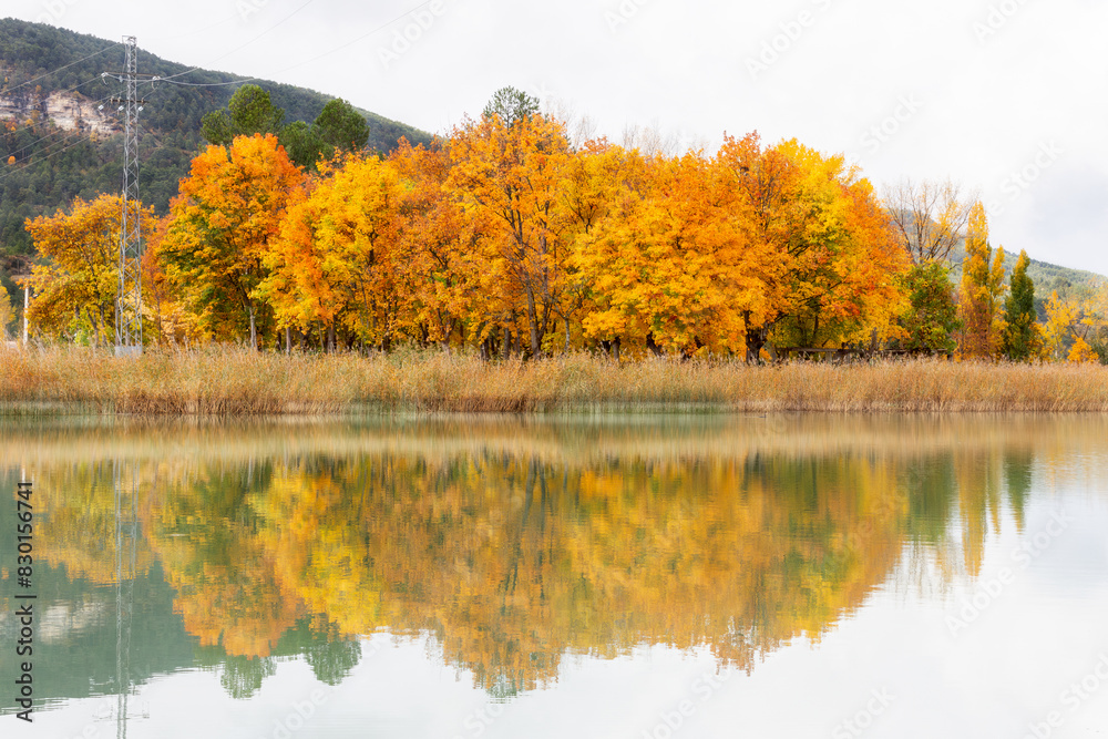 Autumn colors at Uña Lagoon in Cuenca Autumn colors at Uña Lagoon in Cuenca