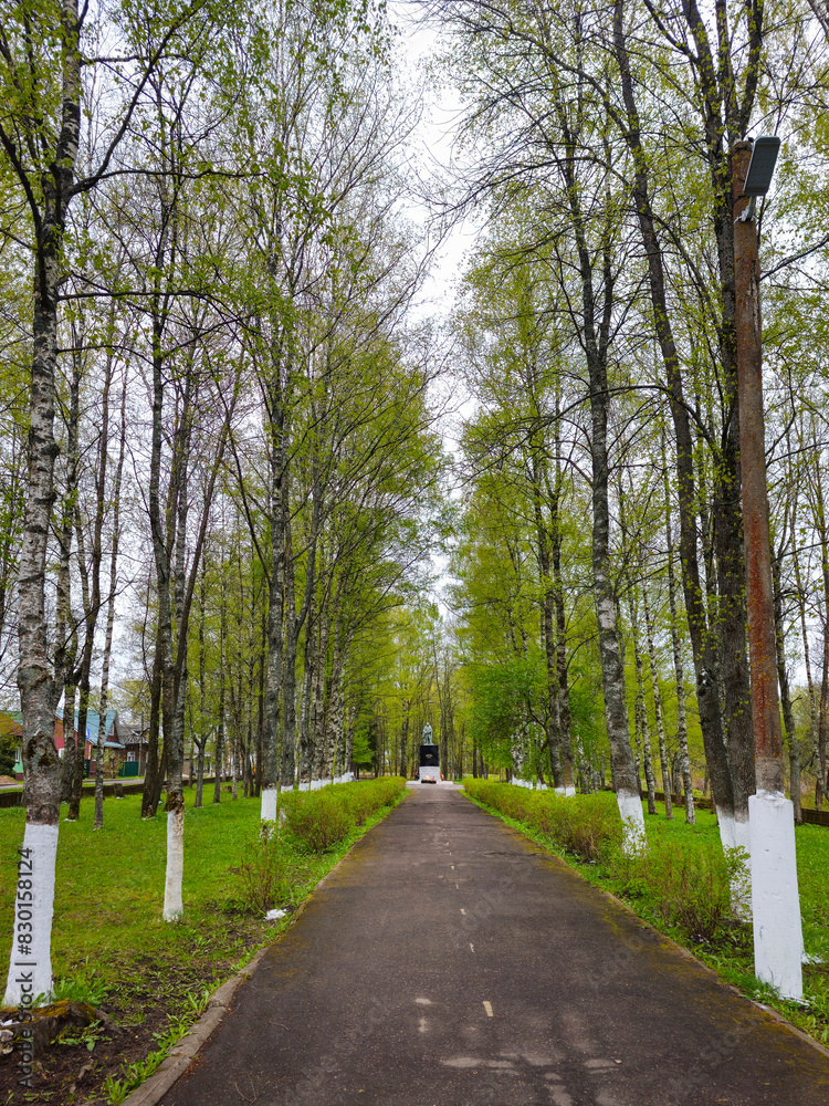Green spring alley leads to the Monument to Tutaev soldiers in Tutaev Green spring alley leads to the Monument to Tutaev soldiers in Tutaev