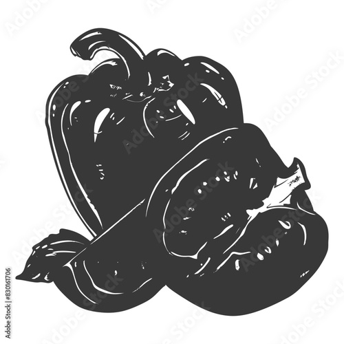 Bell Pepper or Paprika sliced full with engraving sketch style