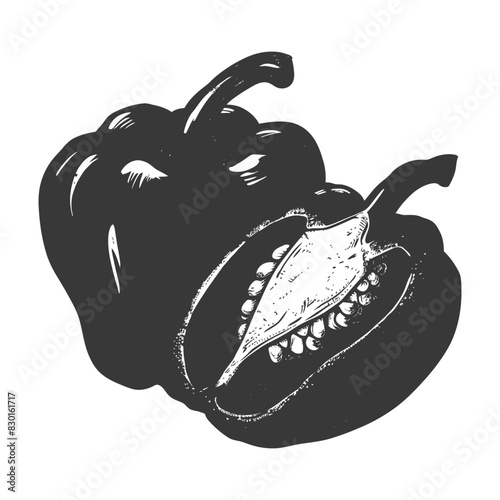 Bell Pepper or Paprika sliced full with engraving sketch style